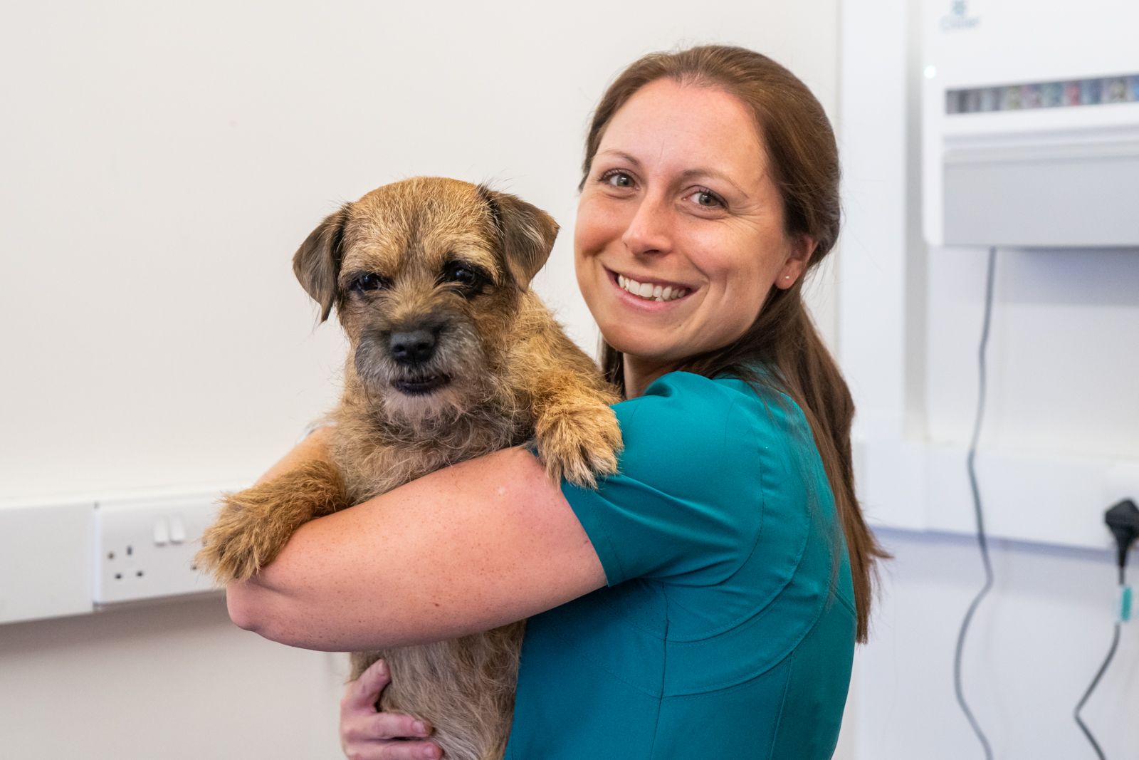 Pet Health Plan