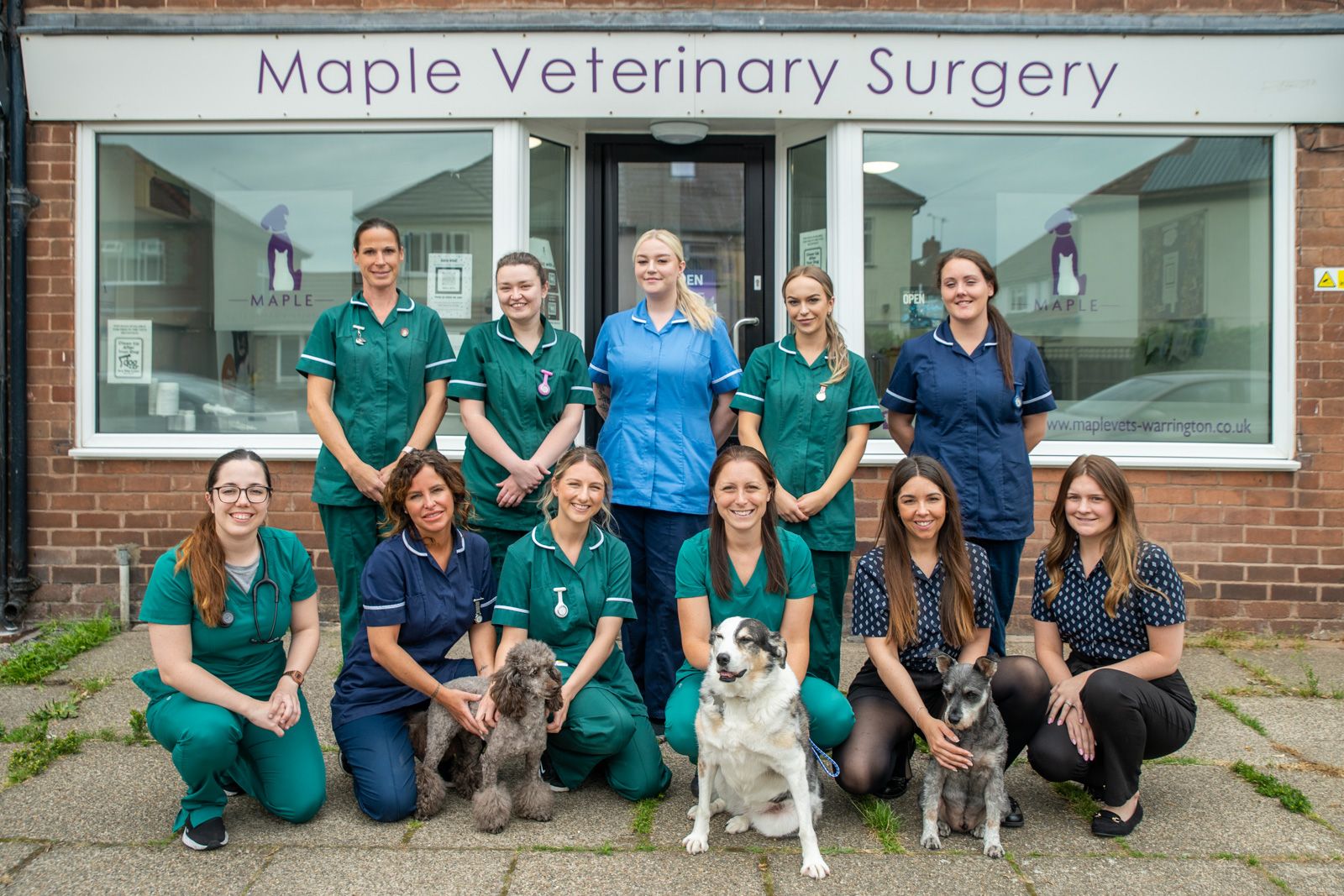 Meet the team